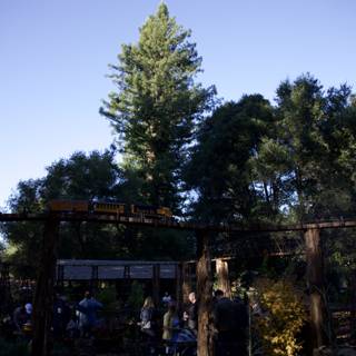 Enchanted Gathering at Filoli