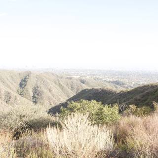 City View from Temescal Canyon