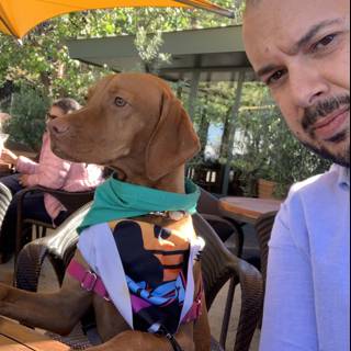 Man and Hound Enjoy Lunch Together