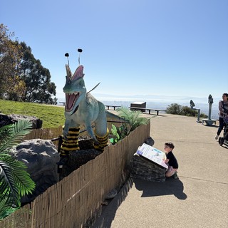 coastal park or viewpoint