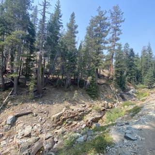 A Scenic Trail through the Desolation Wilderness