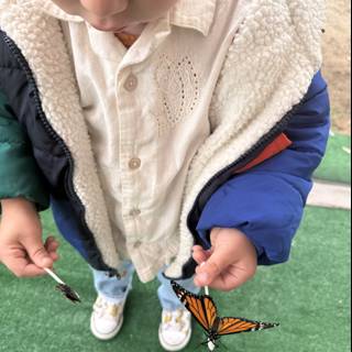 Butterfly Encounters