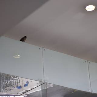 Avian Guest in the Elegant Indoors