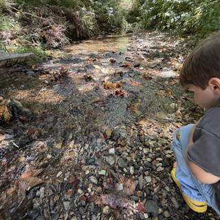 Childhood Curiosity by the Creek