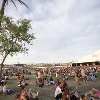 Summer Concert amid Palm Trees at Coachella