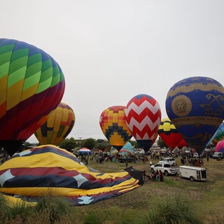 Colorful Hot Air Balloons Rise at Sonoma County Classic