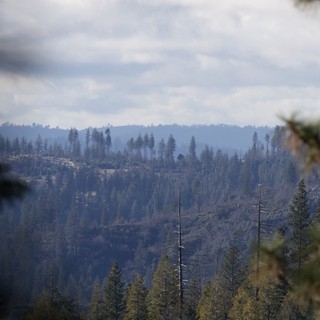 Smoke and Haze Over Fire-Scarred Sierra Nevada Forest