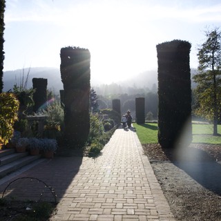 Formal estate garden or botanical garden