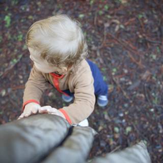 Steps of Discovery