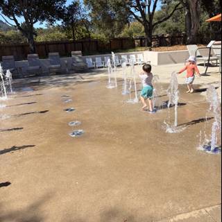 Splashes of Joy in Carmel