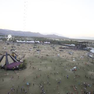 Desert Festival Madness
