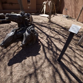 Fossilized Dinosaur Skull Display in Desert Courtyard