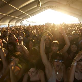 2008 Coachella music festival crowd