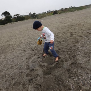 Young Boy Exploring Foggy Beach with Sand Bucket