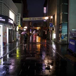 After Rain Reflections: Seoul After Dark
