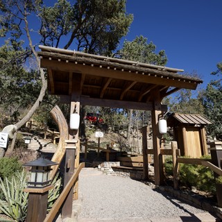 botanical garden
