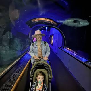 Underwater Journey at the Aquarium of the Bay