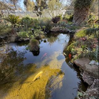 Serenity at the Pond