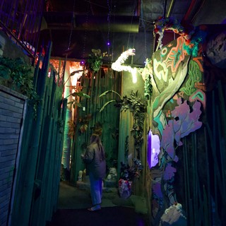Immersive Art Installation with Neon and Nature Elements