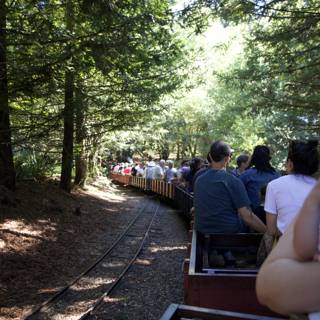 Journey Through the Woods: A Day Aboard the Tilden Steam Train