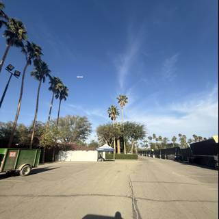 Desert Pathway Under Palm Skies