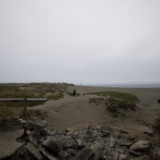 Overcast Beach Dunes on a Gray Summer Day