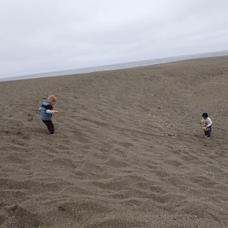 Two Toddlers Exploring a Vast Overcast Beach