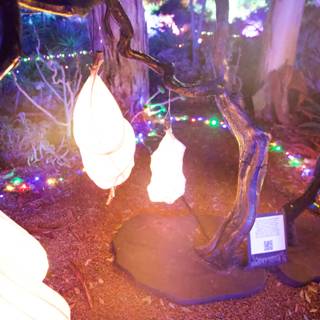 Enchanted Glow: Garden of D'Lights