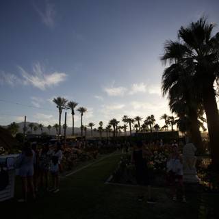 Summer Fun Under a Palm Tree at Coachella
