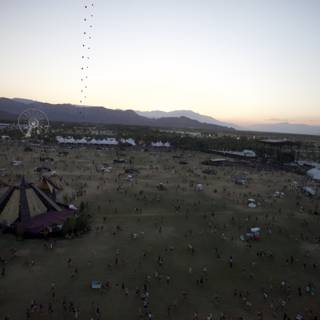 Festival Frenzy in the Desert