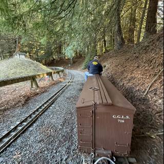 Journey Through the Tilden Woods