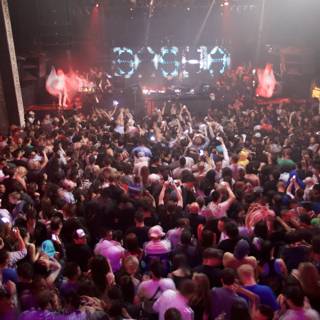 Nightclub Revelry: An Urban Concert Experience