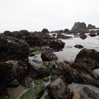 Rugged Tide Pools at Low Tide Schoolhouse Beach