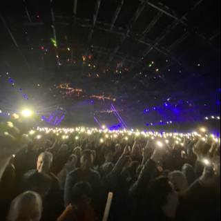 Lights Up: The Electric Energy of a Concert Crowd