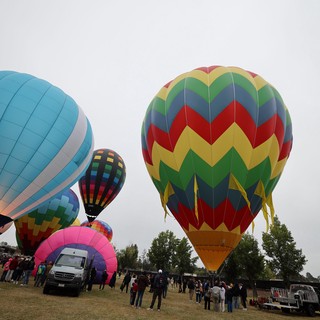 Colorful Hot Air Balloons Ready for Launch at Festival