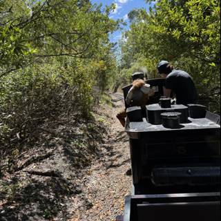 Journey Through the Wilderness