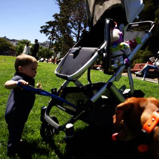 Sunny Stroll in Delores Park with Family