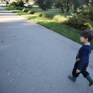Stroll Through Thistlewyck