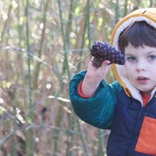 Young Explorer Discovers Nature's Treasure in Winter Forest