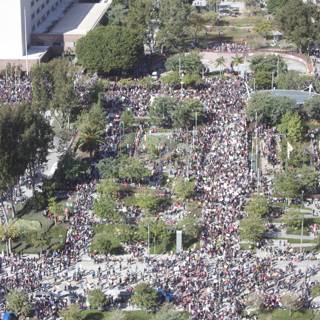 Massive Crowd Gathers in Downtown Metropolis