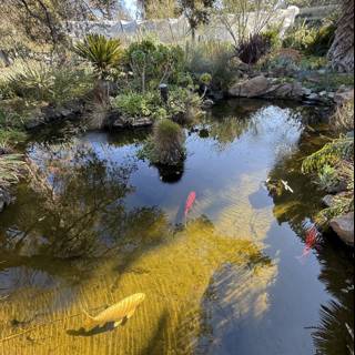 Tranquil Reflections