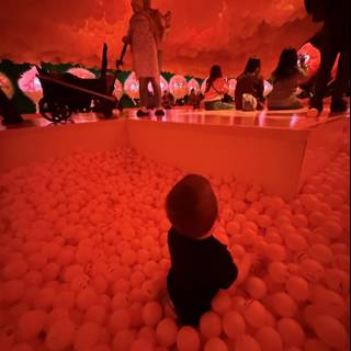 Exploring Wonders: A Day at the Art Installation