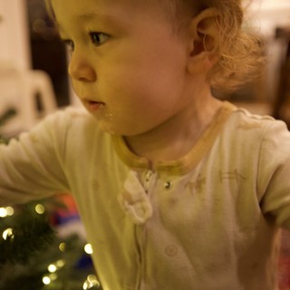 Young Child Mesmerized by Christmas Tree Lights