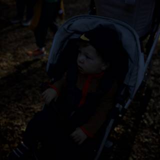 Autumn Stroll at Thistlewyck