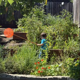 Garden Explorer