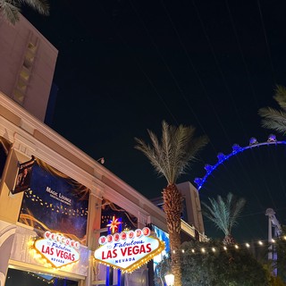 entertainment district/outdoor promenade
