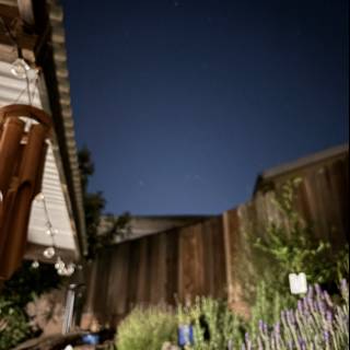 Twilight Whispers in the Garden