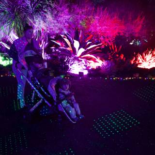 Enchanted Evenings at Garden of D'Lights