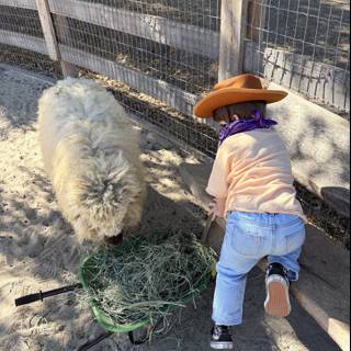 Country Adventures in Carmel Valley