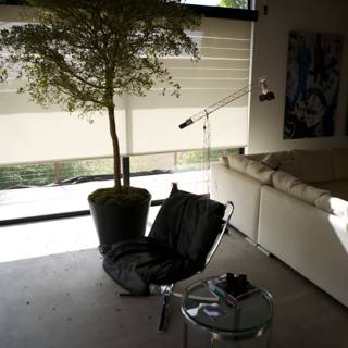Living Room with a Tree in the Middle